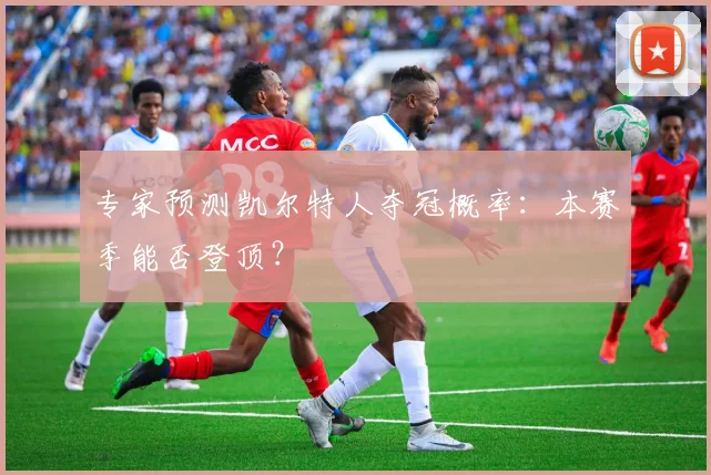 专家预测凯尔特人夺冠概率：本赛季能否登顶？
