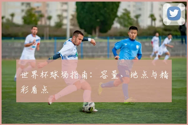 世界杯球场指南:容量、地点与精彩看点